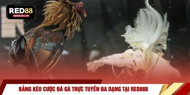 Đá Gà Trực Tuyến – Đấu Trường Kịch Tính Tại RED88 - tiger96.sbs