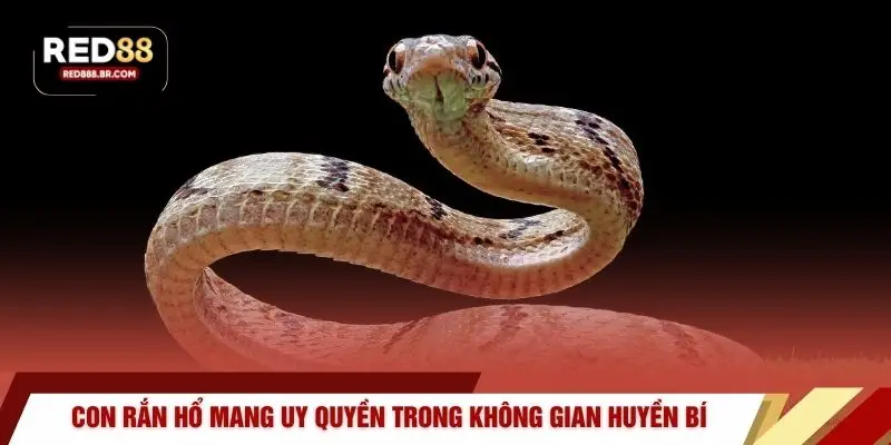 Nằm Mơ Thấy Rắn - Cơ Hội Bùng Nổ Tài Lộc Cùng RED88 - tiger96.sbs