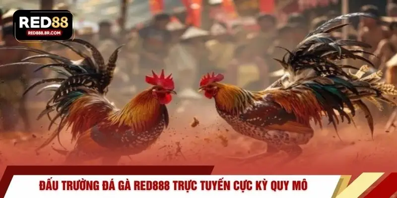Đá Gà RED88 – 4 Sảnh Cược Trực Tiếp Sống Động Nhất - tiger96.sbs