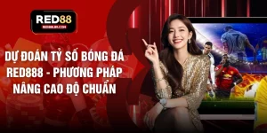 Thể thao - tiger96.sbs