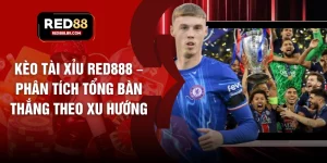 Thể thao - tiger96.sbs