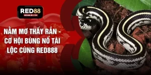 Xổ số - tiger96.sbs