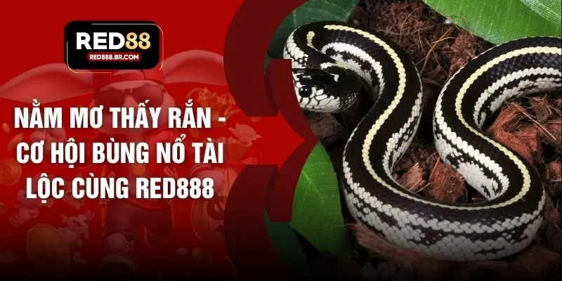 Nằm Mơ Thấy Rắn - Cơ Hội Bùng Nổ Tài Lộc Cùng RED88 - tiger96.sbs
