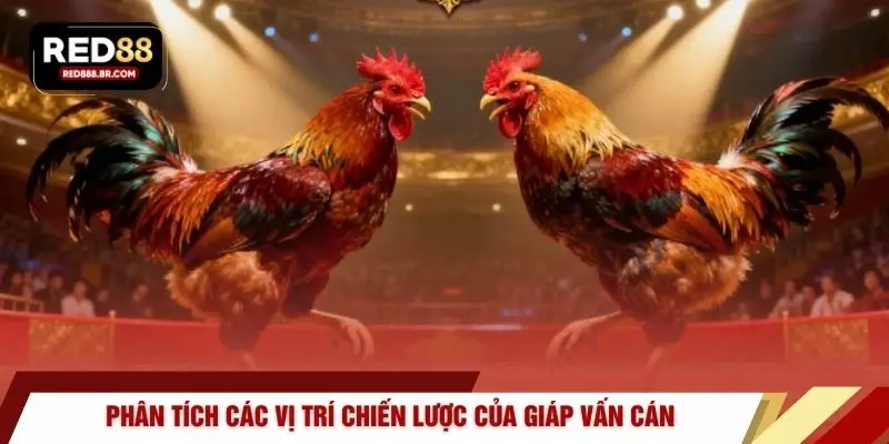 Vảy Vấn Cán – Dị Tướng Và Bí Mật Chiến Thắng Tại RED88 - tiger96.sbs