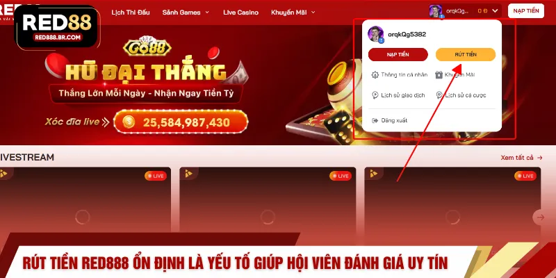 Rút Tiền RED88 – Phổ Biến Rõ Quy Trình An Toàn Và Ổn Định - tiger96.sbs