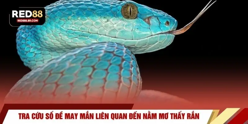 Nằm Mơ Thấy Rắn - Cơ Hội Bùng Nổ Tài Lộc Cùng RED88 - tiger96.sbs